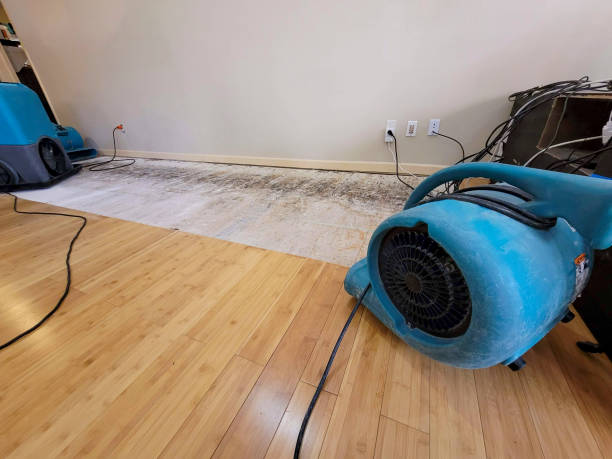 Professional Water Removal technician working in Lancaster, KY